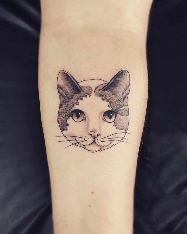 做广告创意设计师的钮小姐小臂猫咪小清新纹身图案